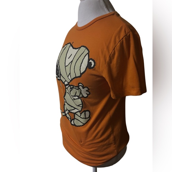 Peanuts Orange Snoopy Woodstock Halloween T Shirt Size Small - Picture 3 of 6